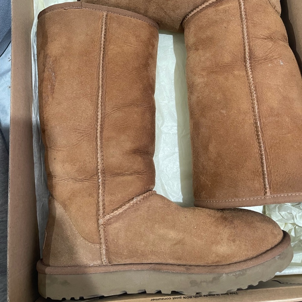 Tall Classic Ugg Boots